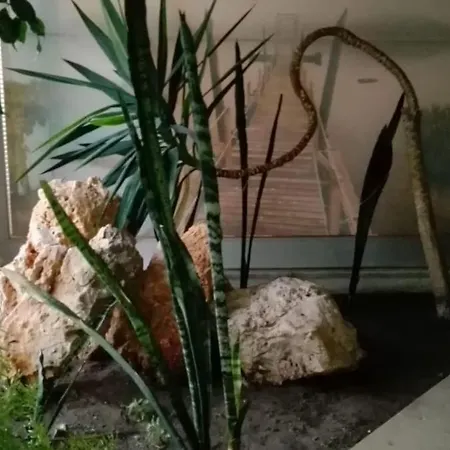 Casa Da Paula - Da Rocha Appartamento